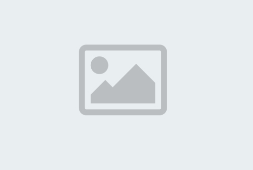 The Future of Digital Journalism: AI Integration and Media Transformation in 2025